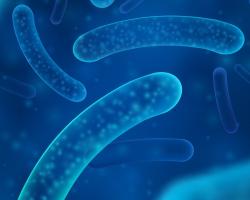 plan sanitario del agua