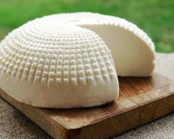 listeria