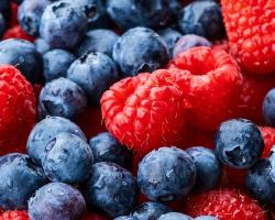 seguridad alimentaria