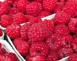 seguridad alimentaria