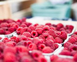 seguridad alimentaria