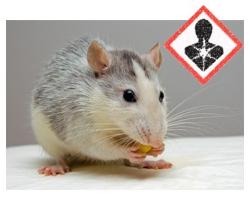 higiene ambiental