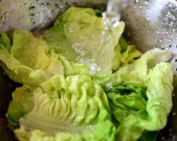 seguridad alimentaria