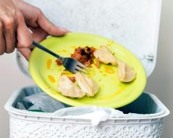 desperdicio alimentario