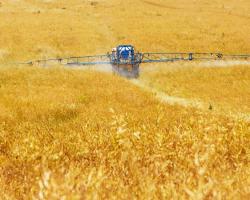 seguridad alimentaria