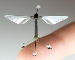 robobee