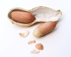 seguridad alimentaria