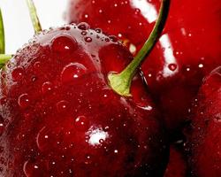 higiene alimentaria