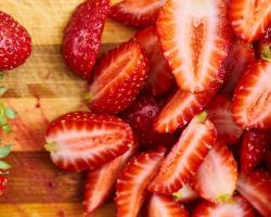 protozoos parásitos