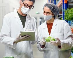 seguridad alimentaria