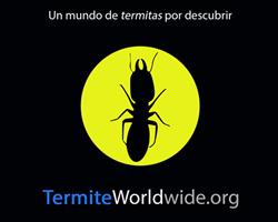 termitas