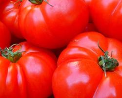 seguridad alimentaria