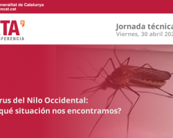 virus nilo occidental