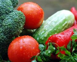 seguridad alimentaria