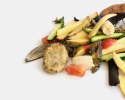 desperdicio de alimentos