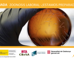 zoonosis