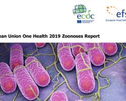 zoonosis